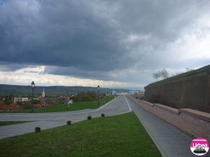 mures