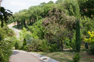 poza parc dendrologic