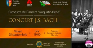 concertorchestracamera
