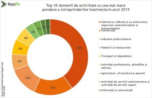 top 10 domenii insolventa