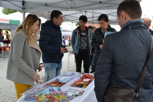 Picture 016