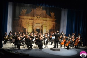 orchestra de camera