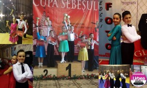 cupa sebesului