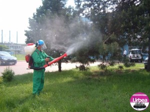 dezinsectie1