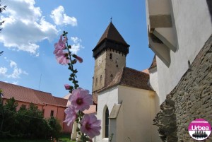 Obiective reabilitate (14)