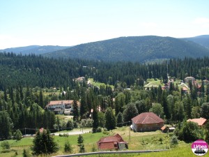 DSC07671