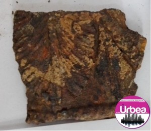 fragment-scut-fier-dacic