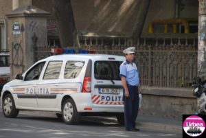 rutiera alba
