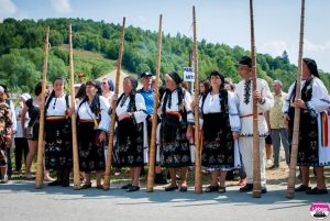 gaina tulnicarese 2015