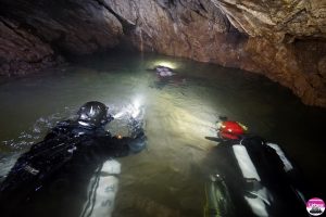 cotetul-dobrestilor-3