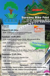 program