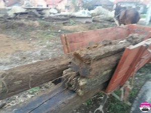 img-20161101-wa0000